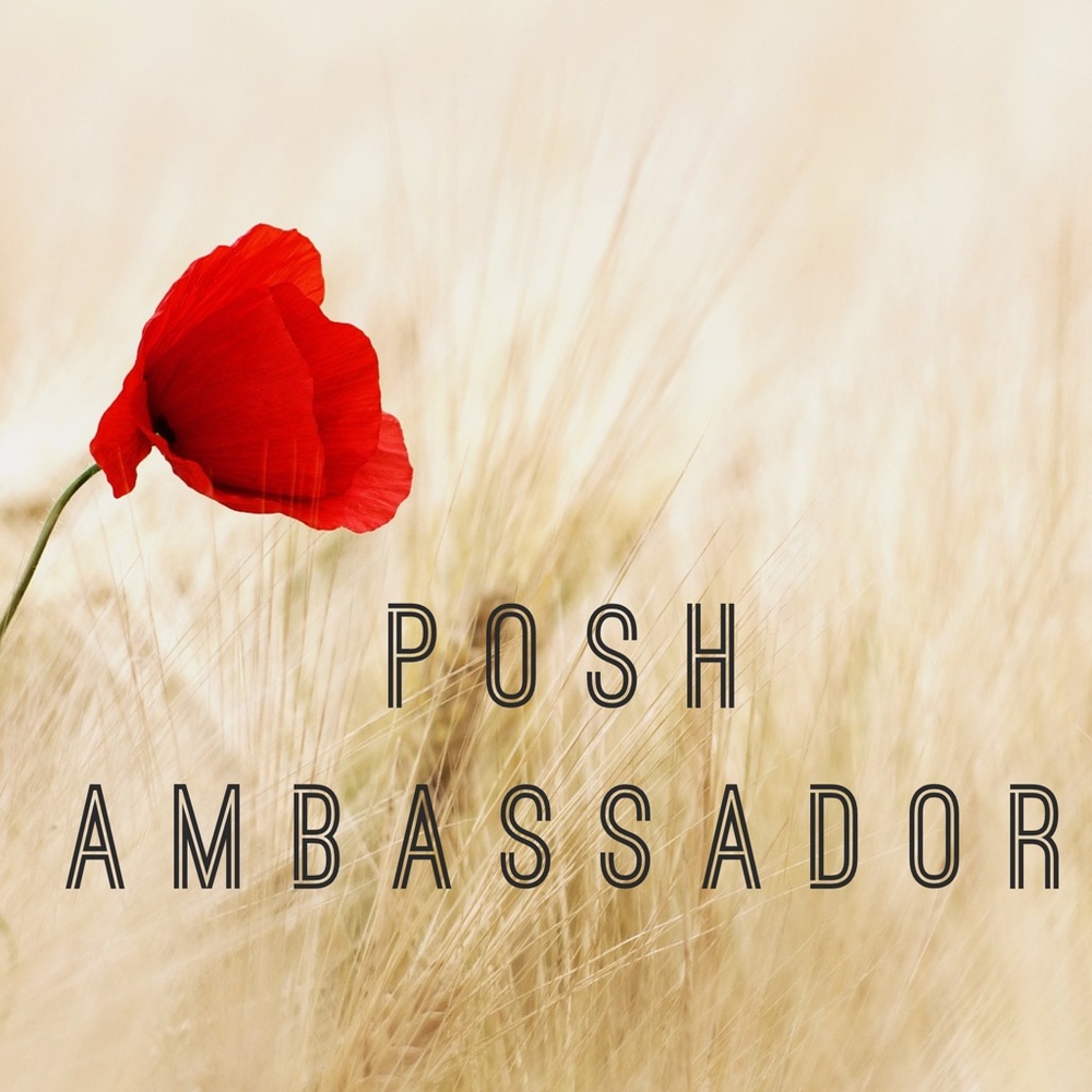 Posh Ambassador